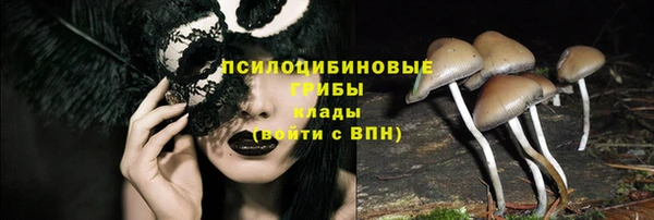 герыч Лиски