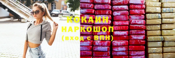 сатива Магадан