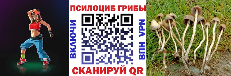 Псилоцибиновые грибы Cubensis  Купить где  Пустошка 